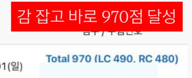 성적 조회 화면: 감 잡고 바로 970점 달성